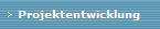 Projektentwicklung