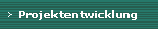 Projektentwicklung